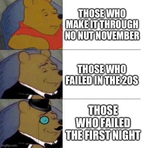 Which one are you? | THOSE WHO MAKE IT THROUGH NO NUT NOVEMBER; THOSE WHO FAILED IN THE 20S; THOSE WHO FAILED THE FIRST NIGHT | image tagged in tuxedo winnie the pooh 3 panel,boys,memes,funny memes | made w/ Imgflip meme maker