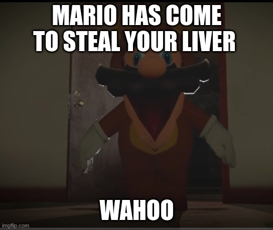 Tanooki Mario comes to steal your liver | MARIO HAS COME TO STEAL YOUR LIVER WAHOO | image tagged in tanooki mario comes to steal your liver | made w/ Imgflip meme maker