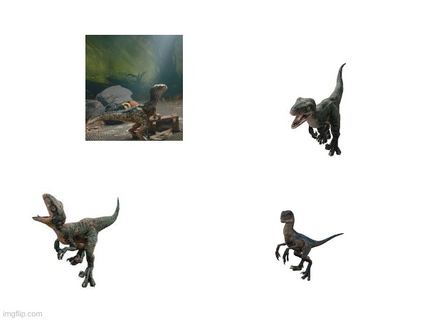 baby raptors | image tagged in dinosaur | made w/ Imgflip meme maker