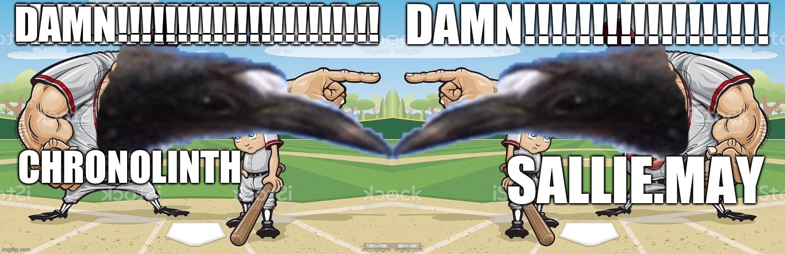 DAMN!!!!!!!!!!!!!!! | SALLIE.MAY; CHRONOLINTH | image tagged in chrono double coach bird damn | made w/ Imgflip meme maker