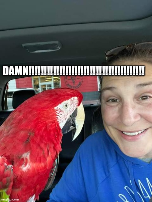 Killing Ruby | DAMN‼️‼️‼️‼️‼️‼️‼️‼️‼️‼️‼️‼️‼️‼️‼️‼️‼️‼️‼️ | image tagged in killing ruby | made w/ Imgflip meme maker