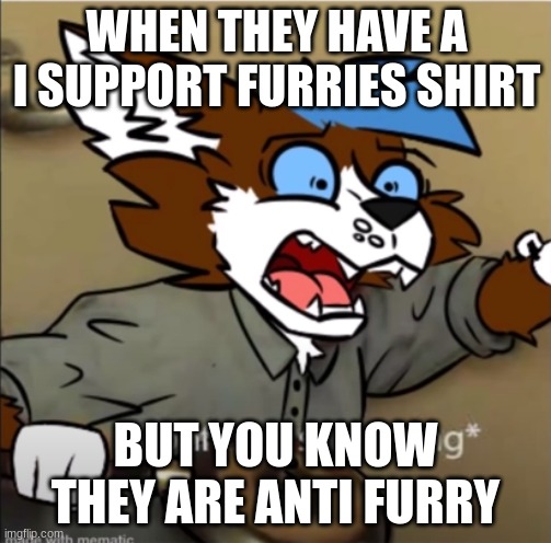 yes | WHEN THEY HAVE A I SUPPORT FURRIES SHIRT; BUT YOU KNOW THEY ARE ANTI FURRY | image tagged in confused furry screaming | made w/ Imgflip meme maker