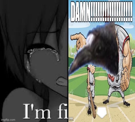 DAMN!!!!!!!!!!!!!!!!! | image tagged in im fine | made w/ Imgflip meme maker