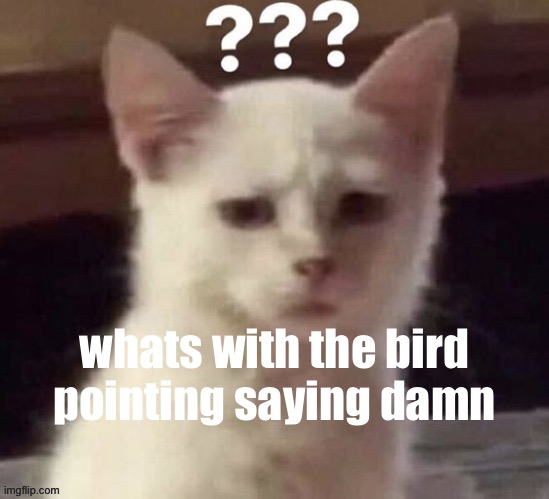? | whats with the bird pointing saying damn | made w/ Imgflip meme maker