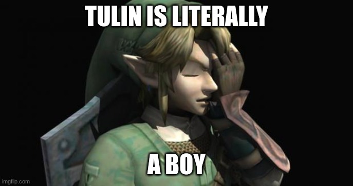 Link Facepalm | TULIN IS LITERALLY A BOY | image tagged in link facepalm | made w/ Imgflip meme maker