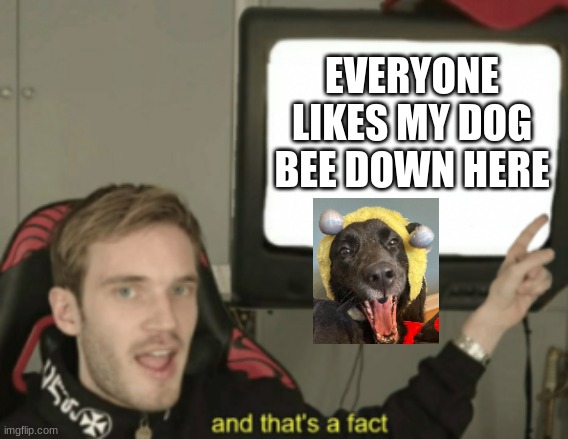 DOGGGGG | EVERYONE LIKES MY DOG BEE DOWN HERE | image tagged in and that's a fact | made w/ Imgflip meme maker