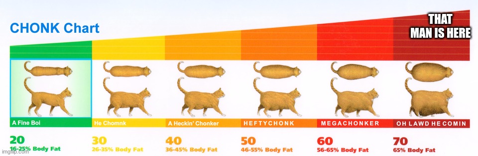 Chonk Chart | THAT MAN IS HERE | image tagged in chonk chart | made w/ Imgflip meme maker