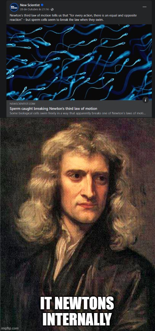 Newton is not happy | IT NEWTONS INTERNALLY | image tagged in isaac newton,sperm,physics,newton,science | made w/ Imgflip meme maker
