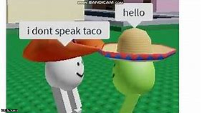 I don't speak taco | image tagged in i don't speak taco | made w/ Imgflip meme maker