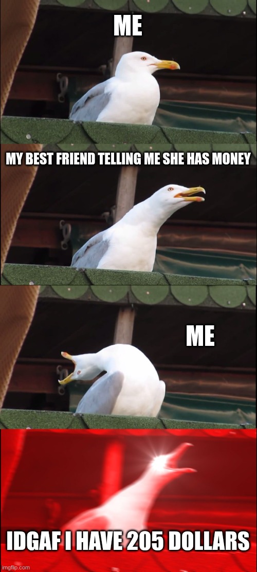 ... | ME; MY BEST FRIEND TELLING ME SHE HAS MONEY; ME; IDGAF I HAVE 205 DOLLARS | image tagged in memes,inhaling seagull | made w/ Imgflip meme maker