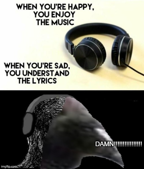 When your sad you understand the lyrics | DAMN!!!!!!!!!!!!!!!! | image tagged in when your sad you understand the lyrics | made w/ Imgflip meme maker