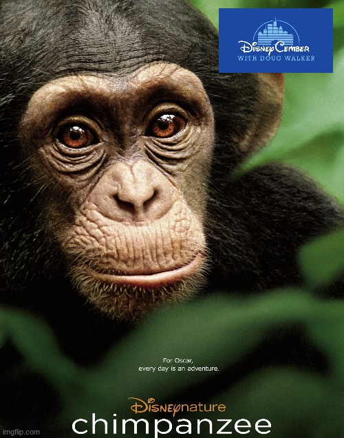 disneycember: disney nature's chimpanzee | image tagged in disneycember,disney nature,nature documentary,nostalgia critic,chimpanzee | made w/ Imgflip meme maker