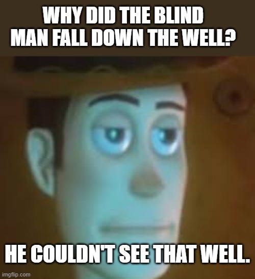My signature joke | WHY DID THE BLIND MAN FALL DOWN THE WELL? HE COULDN'T SEE THAT WELL. | image tagged in disappointed woody | made w/ Imgflip meme maker