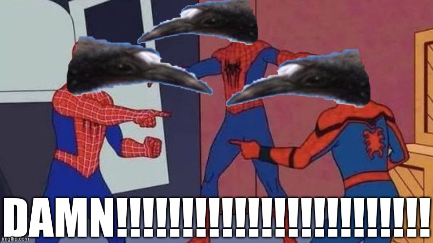 DAMN!!!!!!!!!!!!!!!!!!!!! | image tagged in spiderman pointing at spiderman | made w/ Imgflip meme maker