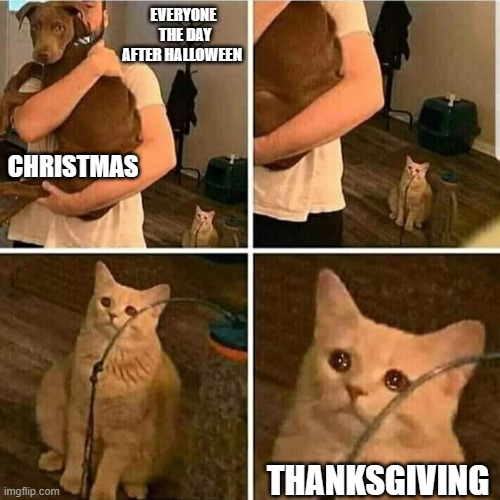 No one remembers. | EVERYONE  THE DAY AFTER HALLOWEEN; CHRISTMAS; THANKSGIVING | image tagged in sad cat holding dog,thanksgiving,christmas,halloween | made w/ Imgflip meme maker