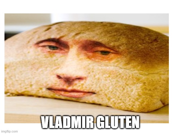 VLADMIR GLUTEN | image tagged in fun,memes,russia,putin | made w/ Imgflip meme maker