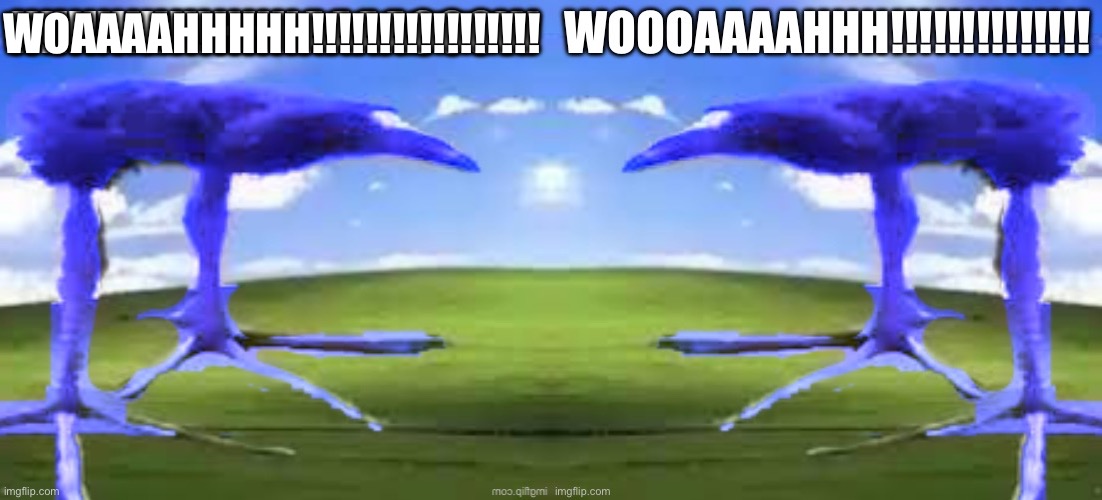 DOUBLE WOAAAHHH!!!!!!!!!!!!!!!!!!!!!!!!!!!!!!! | WOAAAAHHHHH!!!!!!!!!!!!!!!!! | made w/ Imgflip meme maker