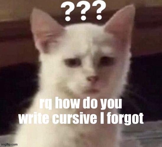 ? | rq how do you write cursive I forgot | made w/ Imgflip meme maker