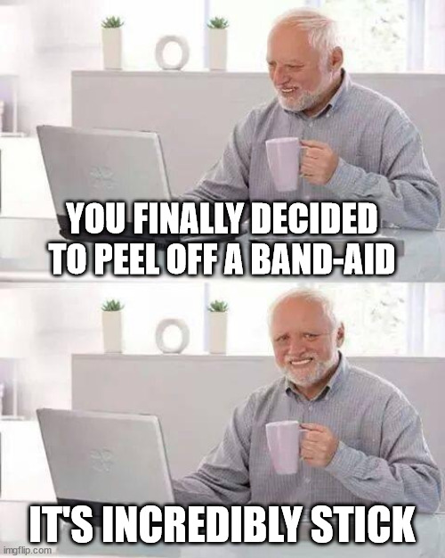 What's the point when they hurt your skin | YOU FINALLY DECIDED TO PEEL OFF A BAND-AID; IT'S INCREDIBLY STICK | image tagged in memes,hide the pain harold | made w/ Imgflip meme maker