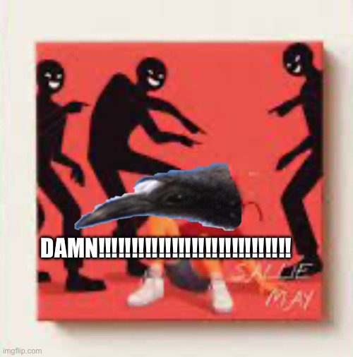DAMN!!!!!!!!!!!!!!!!!!!!!!!! | DAMN!!!!!!!!!!!!!!!!!!!!!!!!!!!!! | image tagged in salliemay | made w/ Imgflip meme maker