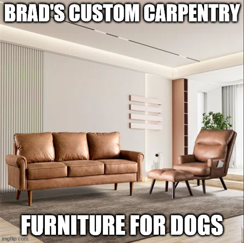 BRAD'S CUSTOM CARPENTRY; FURNITURE FOR DOGS | made w/ Imgflip meme maker