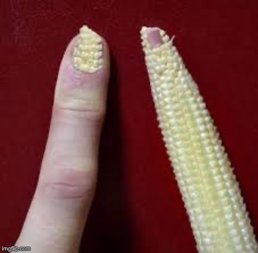 Corn fingernail :) | made w/ Imgflip meme maker