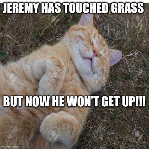 Jeremy touches grass | JEREMY HAS TOUCHED GRASS; BUT NOW HE WON’T GET UP!!! | image tagged in grumpy cat | made w/ Imgflip meme maker
