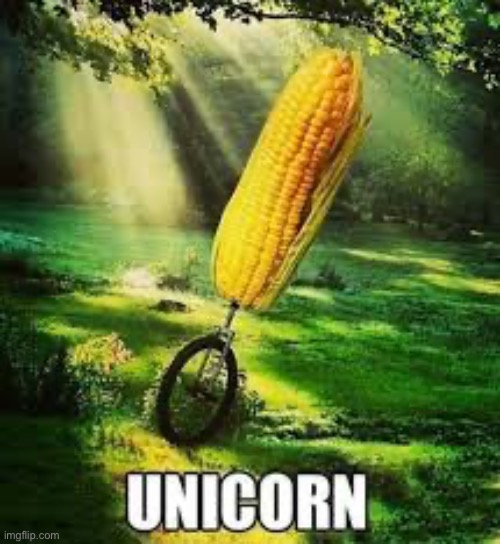 Unicorn | made w/ Imgflip meme maker