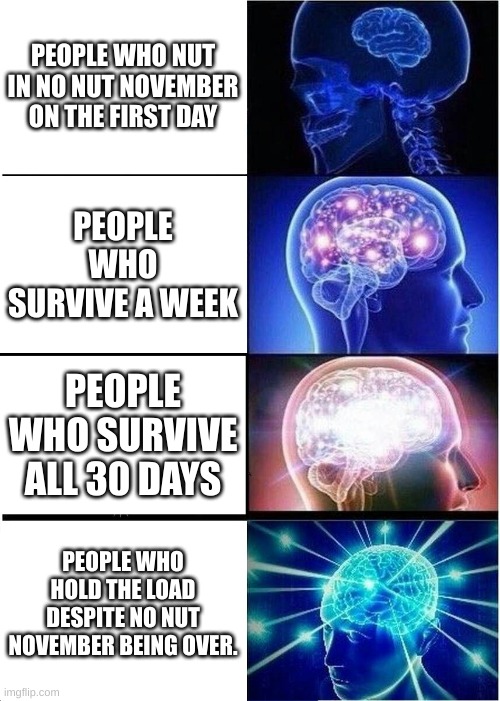 i do this. | PEOPLE WHO NUT IN NO NUT NOVEMBER ON THE FIRST DAY; PEOPLE WHO SURVIVE A WEEK; PEOPLE WHO SURVIVE ALL 30 DAYS; PEOPLE WHO HOLD THE LOAD DESPITE NO NUT NOVEMBER BEING OVER. | image tagged in memes,expanding brain | made w/ Imgflip meme maker