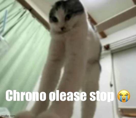 long gato | Chrono olease stop 😭 | image tagged in long gato | made w/ Imgflip meme maker