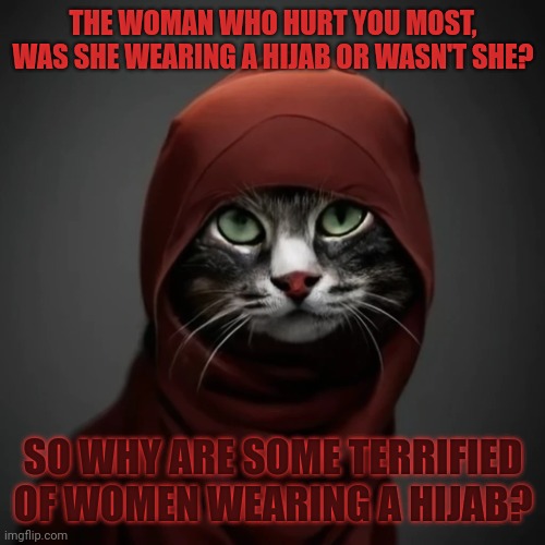 This #lolcat wonders why some are terrified of pieces of fabric | THE WOMAN WHO HURT YOU MOST,
WAS SHE WEARING A HIJAB OR WASN'T SHE? SO WHY ARE SOME TERRIFIED
OF WOMEN WEARING A HIJAB? | image tagged in hijab,lolcat,islamophobia | made w/ Imgflip meme maker