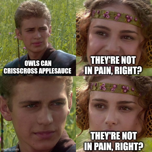 Anakin Padme 4 Panel | OWLS CAN CRISSCROSS APPLESAUCE THEY'RE NOT IN PAIN, RIGHT? THEY'RE NOT IN PAIN, RIGHT? | image tagged in anakin padme 4 panel | made w/ Imgflip meme maker