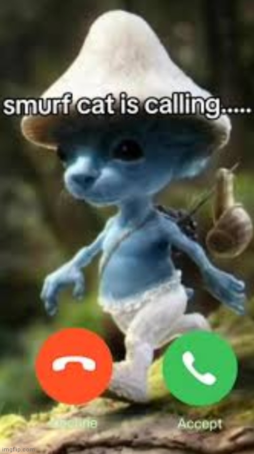 Smurfcat call | image tagged in shitpost,blue smurf cat | made w/ Imgflip meme maker