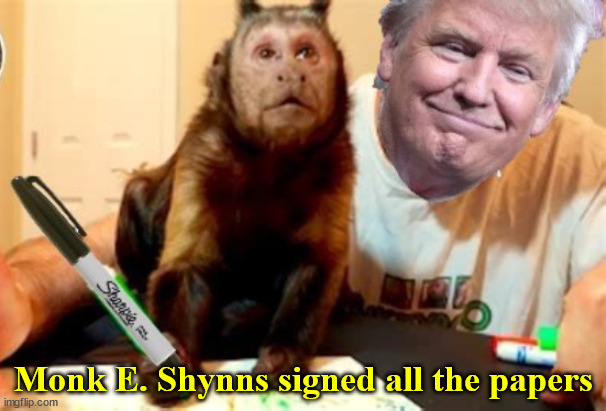He signed everything | Monk E. Shynns signed all the papers | image tagged in donald trump,monkey,sharpie,signed papers,fraud,fruadulant felon | made w/ Imgflip meme maker