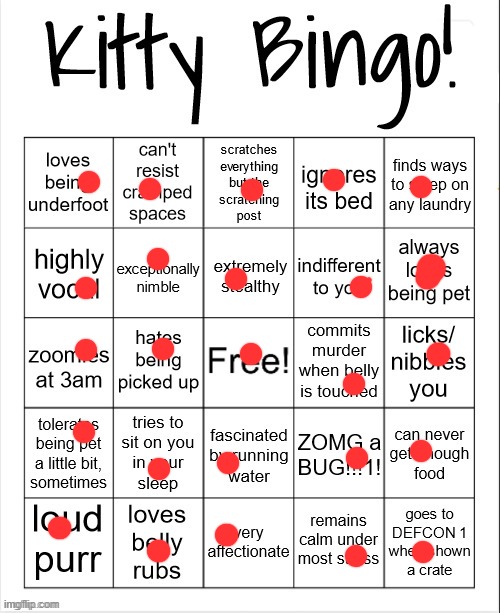 I have 4 cats and four dogs but one of my cats love belly rubs | image tagged in kitty bingo | made w/ Imgflip meme maker