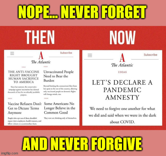 They ask for amnesty... but can never say they were wrong and apologize... | NOPE... NEVER FORGET; AND NEVER FORGIVE | image tagged in covid,covid vaccine,truth | made w/ Imgflip meme maker