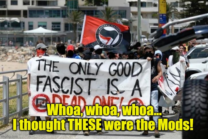 Antifa - Dead Fascists | Whoa, whoa, whoa...
I thought THESE were the Mods! | image tagged in antifa - dead fascists | made w/ Imgflip meme maker