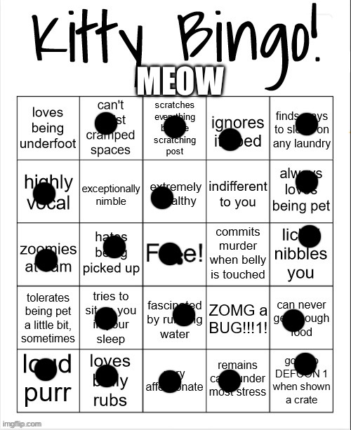 My kitty stole my heart | MEOW | image tagged in kitty bingo | made w/ Imgflip meme maker