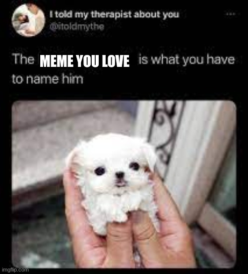 meme | MEME YOU LOVE | image tagged in what the name | made w/ Imgflip meme maker
