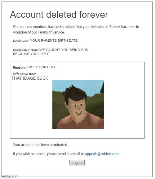 Moderation System | Account deleted forever; YOUR PARENTS BIRTH DATE; WE CAUGHT YOU BEING SUS; BECAUSE YOU LIKE IT; SUSSY CONTENT; THAT IMAGE SUCK | image tagged in moderation system | made w/ Imgflip meme maker