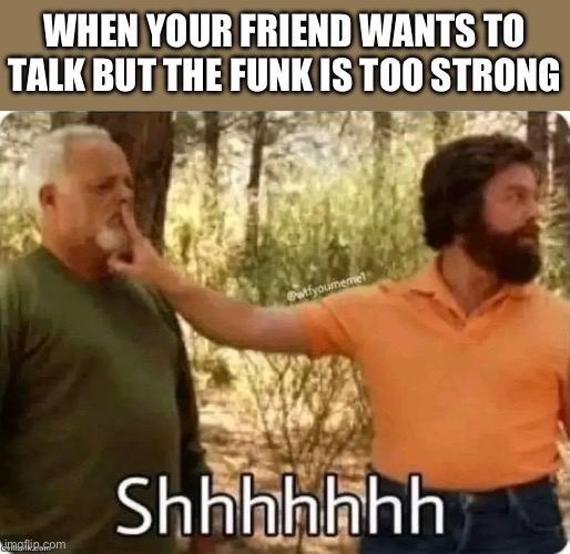 Funk too strong | WHEN YOUR FRIEND WANTS TO TALK BUT THE FUNK IS TOO STRONG | image tagged in shhhh | made w/ Imgflip meme maker