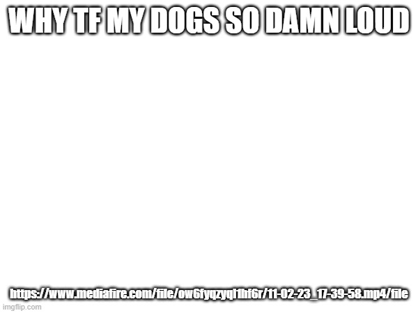 https://www.mediafire.com/file/ow6fyqzyql1hf6r/11-02-23_17-39-58.mp4/file | WHY TF MY DOGS SO DAMN LOUD; https://www.mediafire.com/file/ow6fyqzyql1hf6r/11-02-23_17-39-58.mp4/file | made w/ Imgflip meme maker