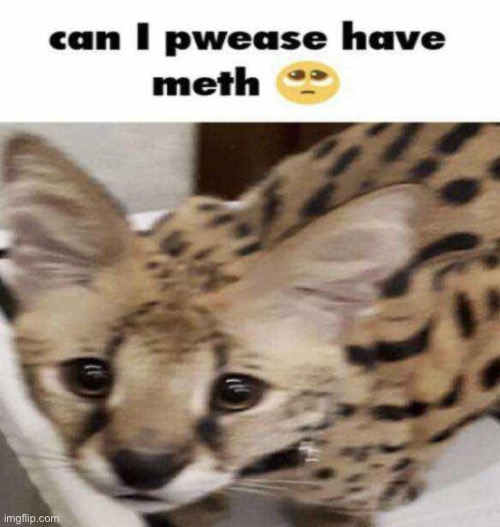 meth | image tagged in meth | made w/ Imgflip meme maker