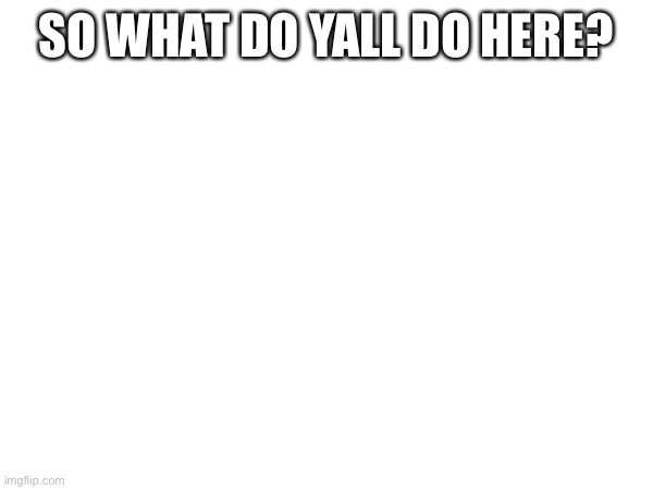 SO WHAT DO YALL DO HERE? | made w/ Imgflip meme maker