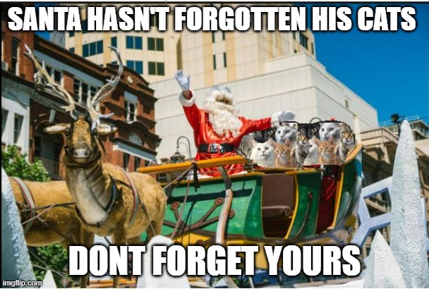 xmas cats timesheet reminder | SANTA HASN'T FORGOTTEN HIS CATS; DONT FORGET YOURS | image tagged in timesheet reminder,timesheet meme | made w/ Imgflip meme maker