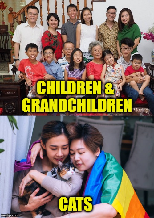 Freedom to choose | CHILDREN &
 GRANDCHILDREN; CATS | image tagged in family | made w/ Imgflip meme maker