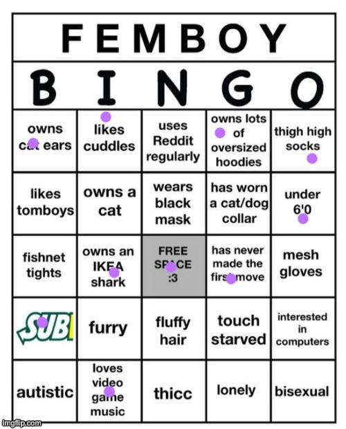 Femboy Bingo | image tagged in femboy bingo | made w/ Imgflip meme maker