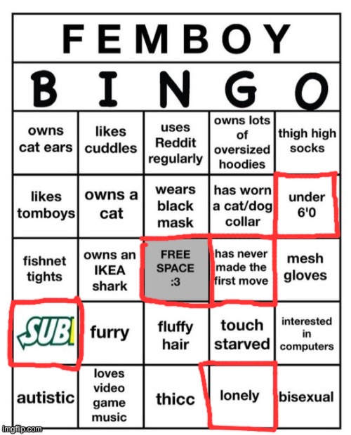 I’m female but guh | image tagged in femboy bingo | made w/ Imgflip meme maker
