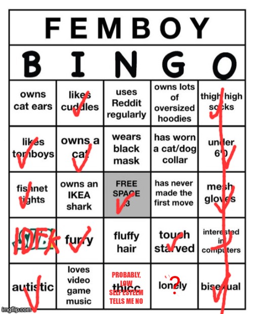 Bingur | PROBABLY, LOW SELF ESTEEM TELLS ME NO; ? | image tagged in femboy bingo | made w/ Imgflip meme maker
