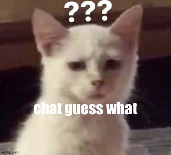 ? | chat guess what | made w/ Imgflip meme maker